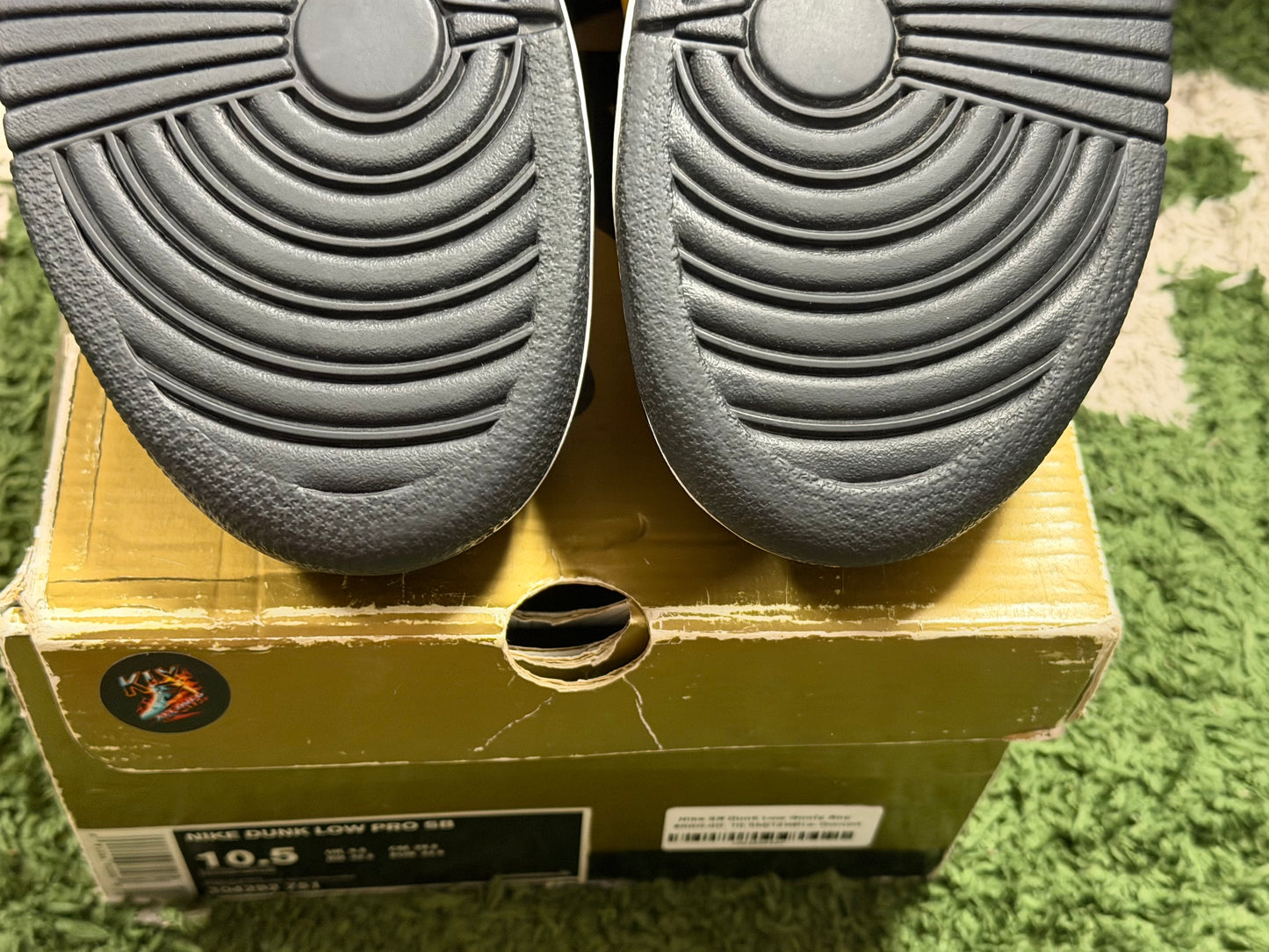Nike SB Dunk Low Goofy Boy