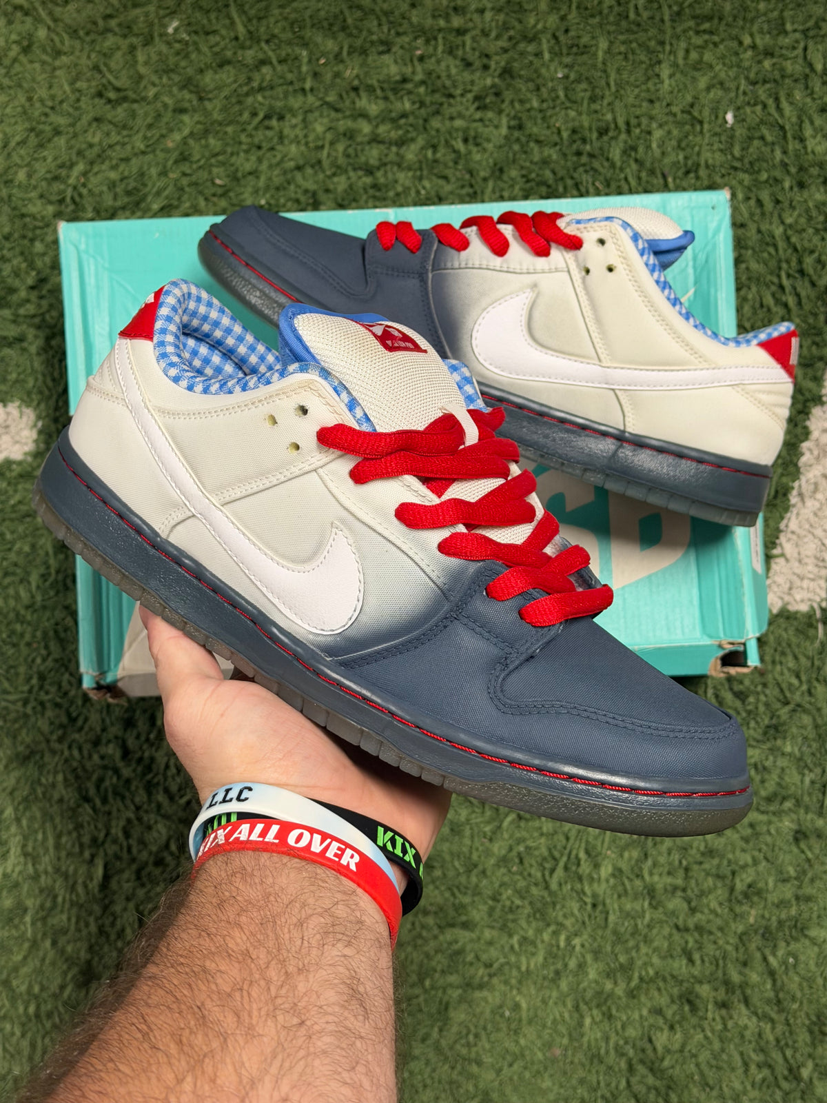 Nike SB Dunk Low Dorothy