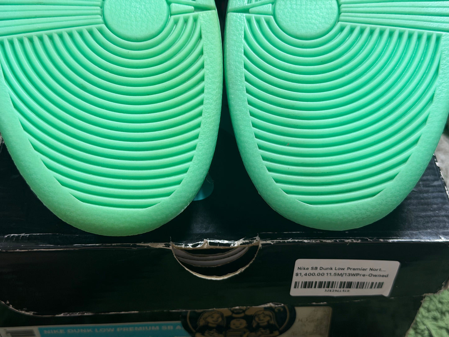 Nike SB Dunk Low Premier Northern Lights