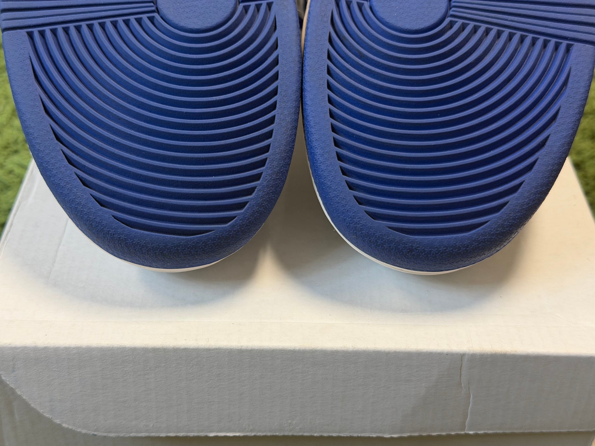 Nike SB Dunk Low Premium White Game Royal
