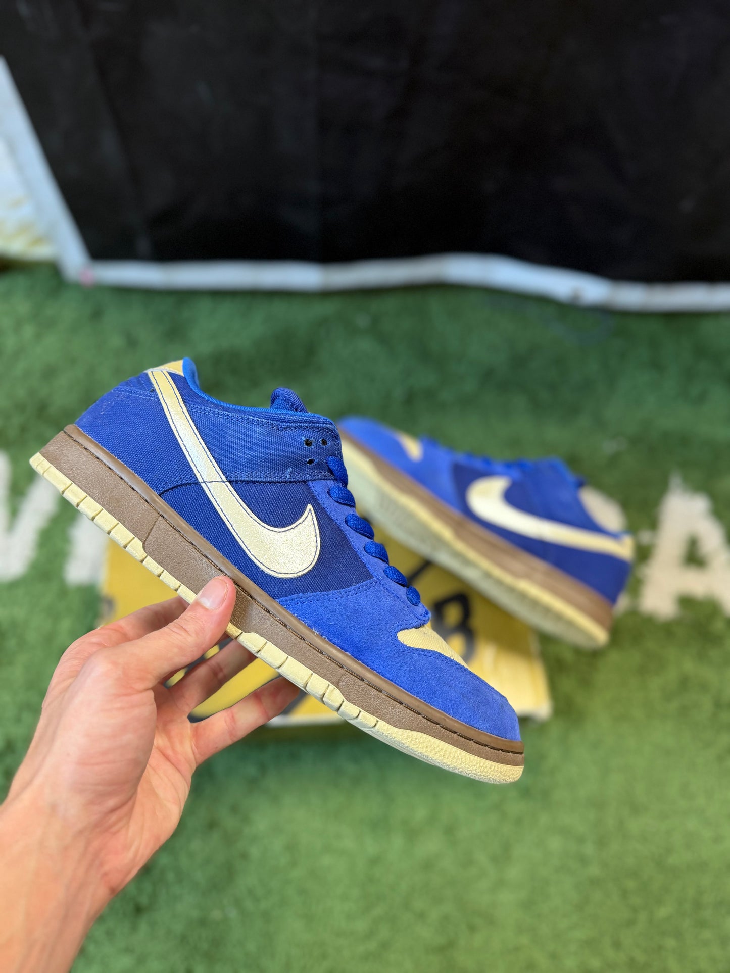 Nike SB Dunk Low Gold Rail