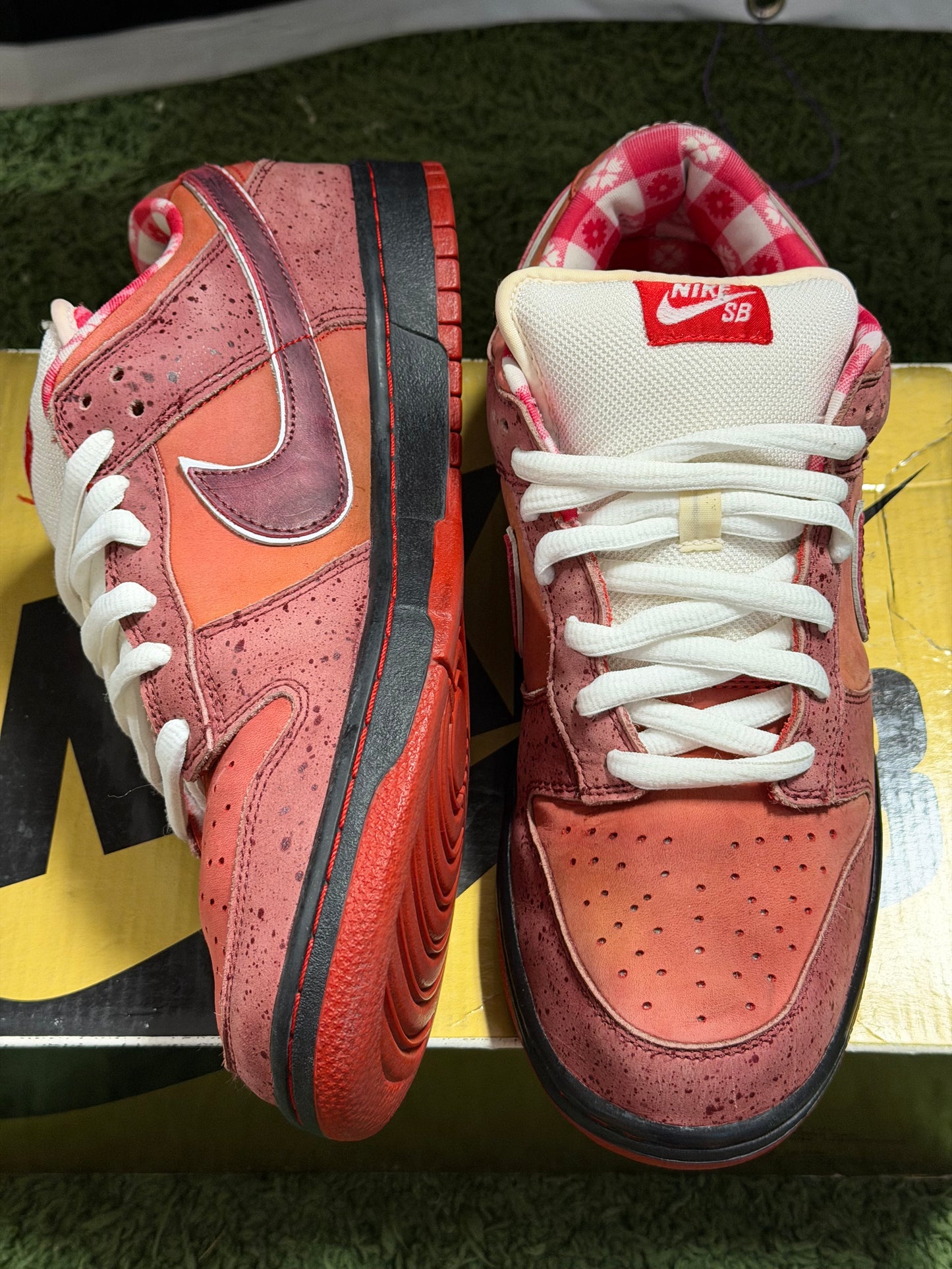 Nike SB Dunk Low Concepts Red Lobster
