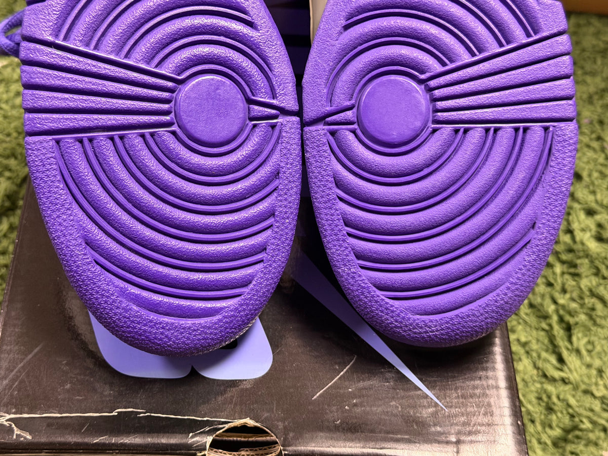 Nike SB Dunk High Dinosaur Jr.