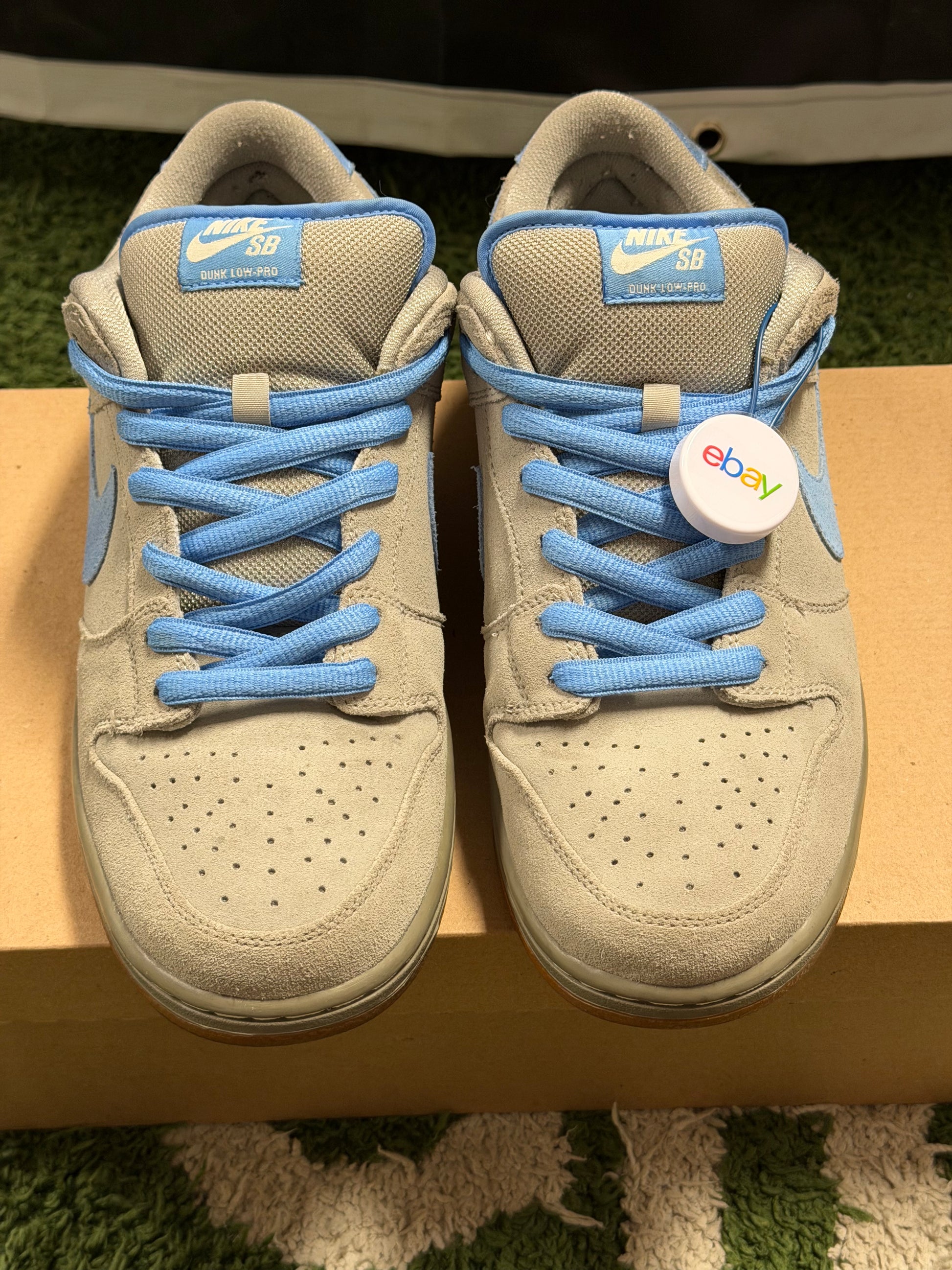 Nike SB Dunk Low Iron Low