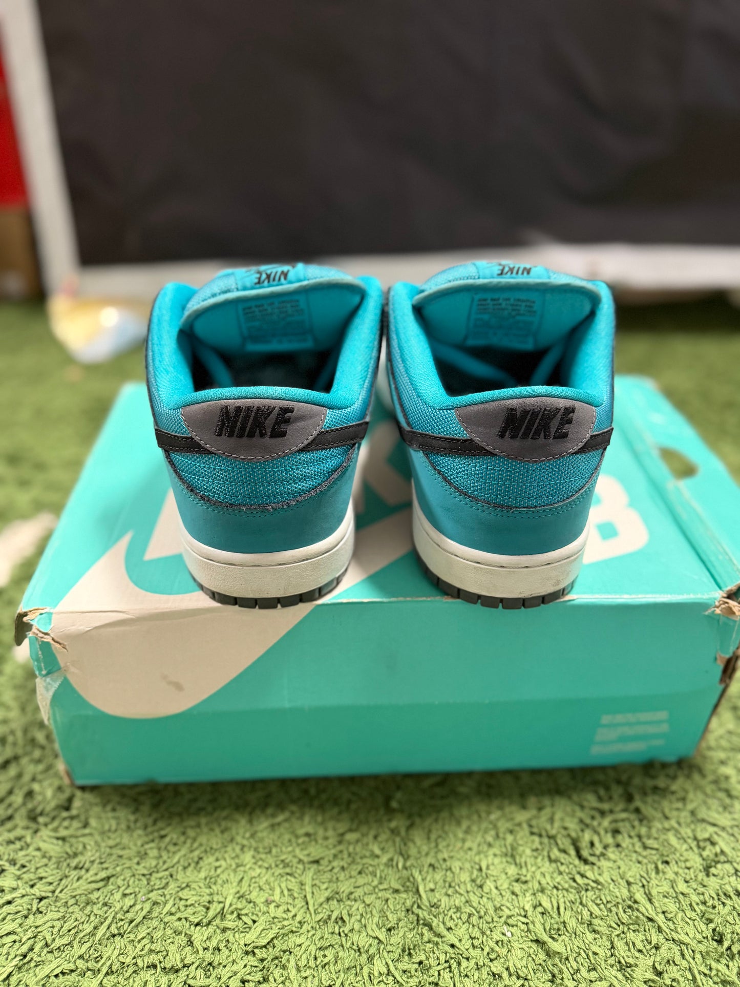 Nike SB Dunk Low Dusty Cactus